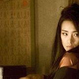 к записям дневника