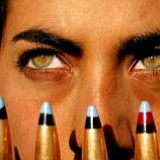 к записям дневника