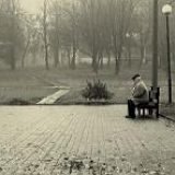 к записям дневника