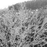 к записям дневника