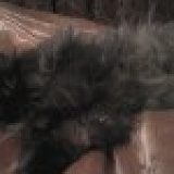 к записям дневника