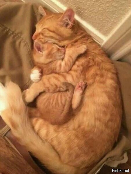 ��������� �� ����������!