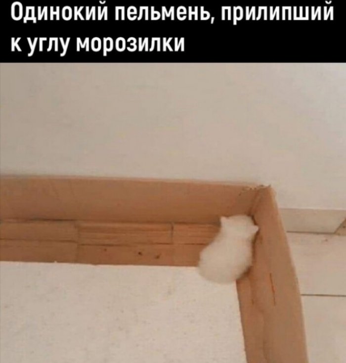 ��������� �� ����������!