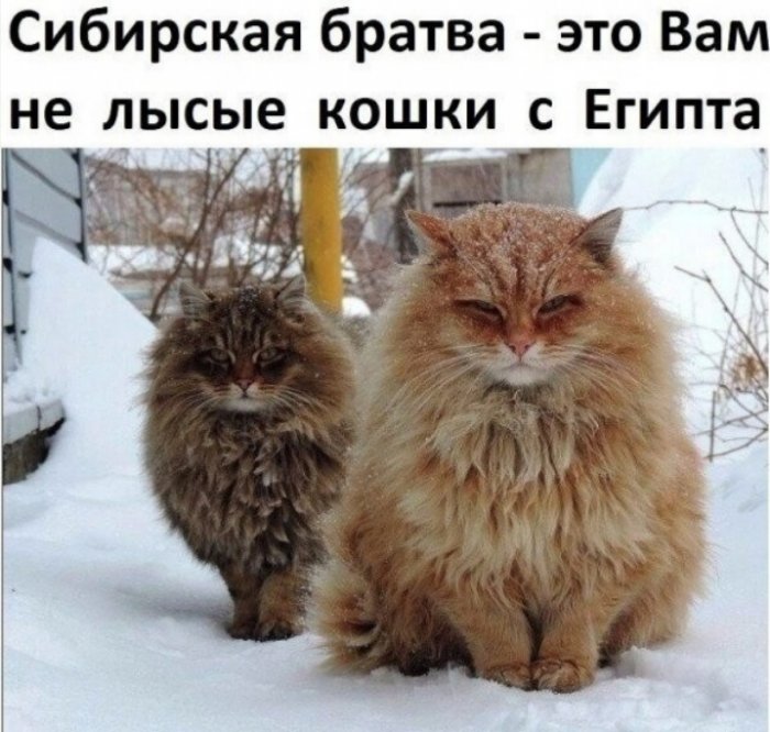 ��������� �� ����������!