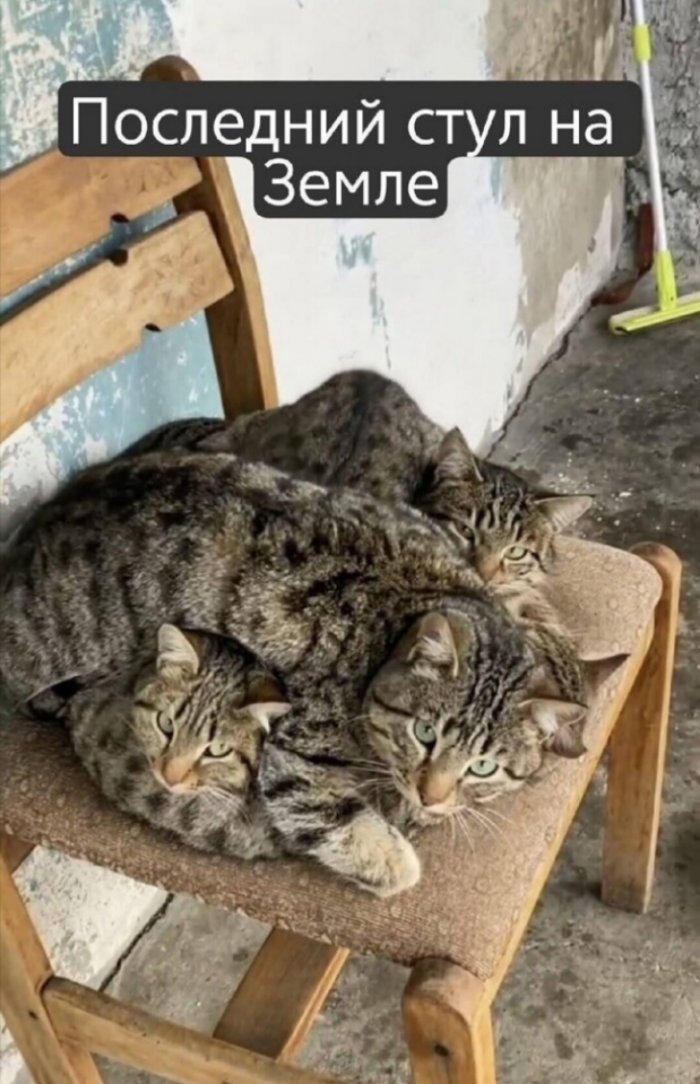 ��������� �� ����������!