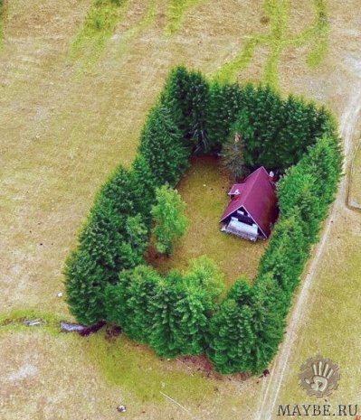 ��������� �� ����������!