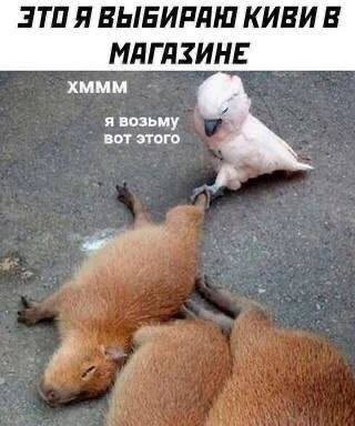 ��������� �� ����������!