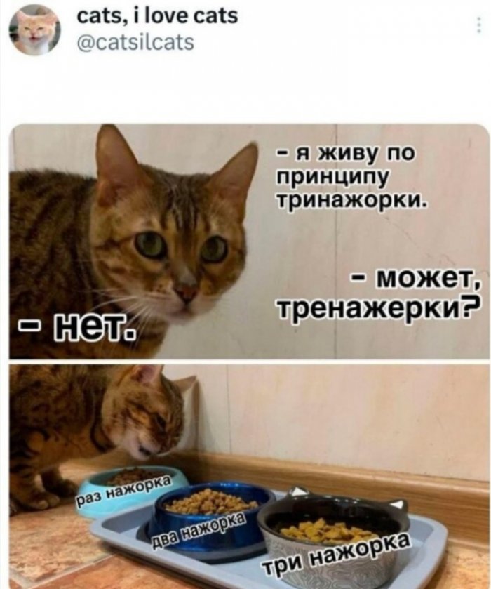 Голосуйте за прикольчик!