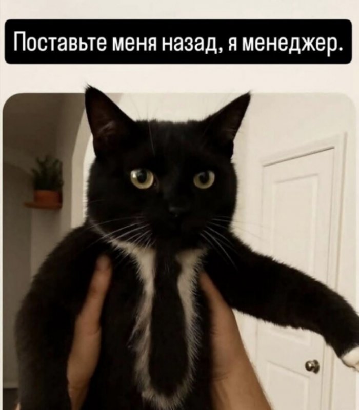 ��������� �� ����������!