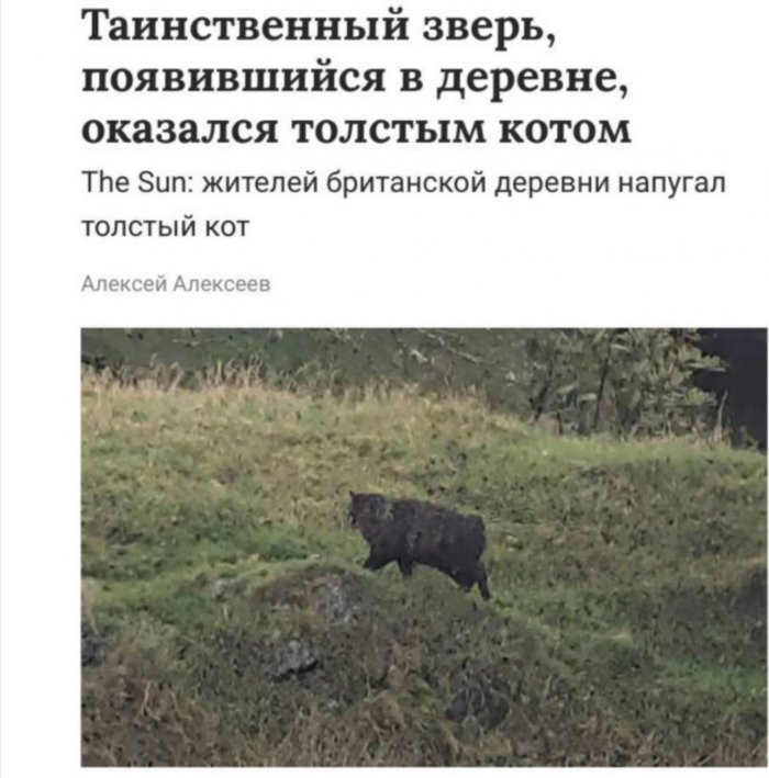 ��������� �� ����������!