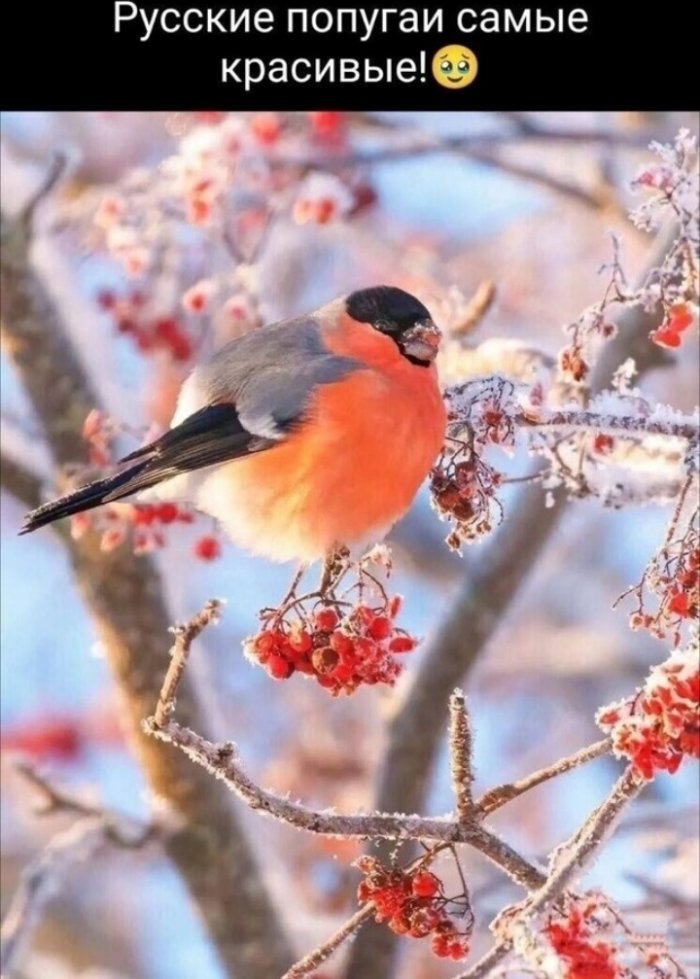 ��������� �� ����������!