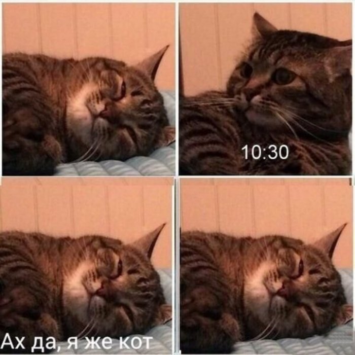 ��������� �� ����������!