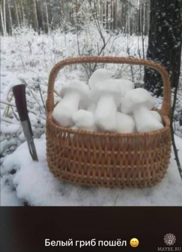 ��������� �� ����������!