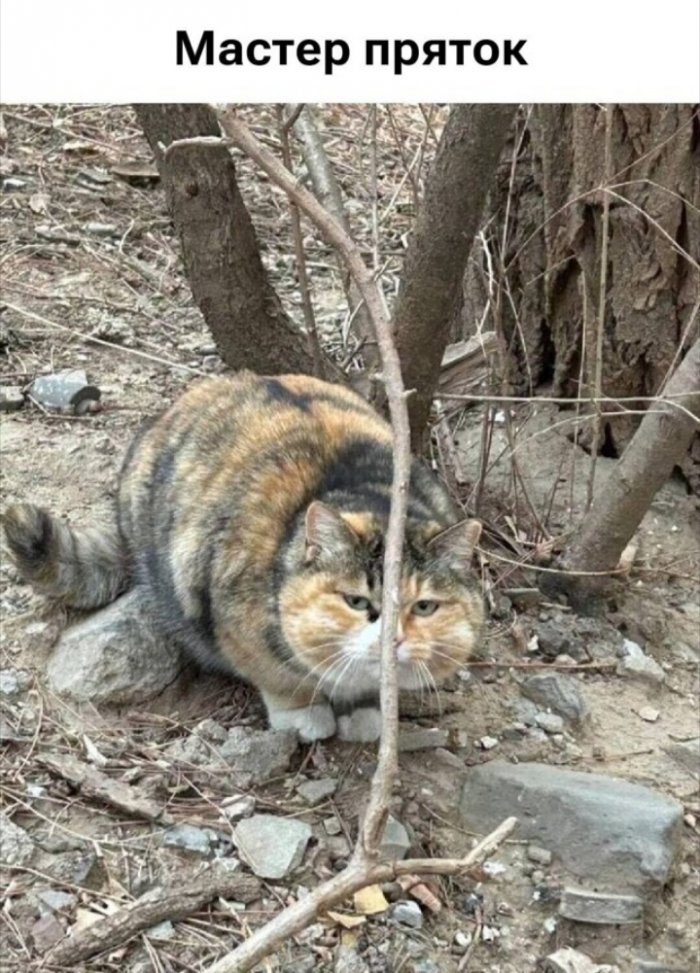 ��������� �� ����������!