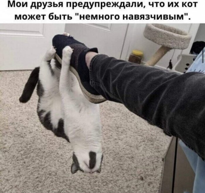 ��������� �� ����������!