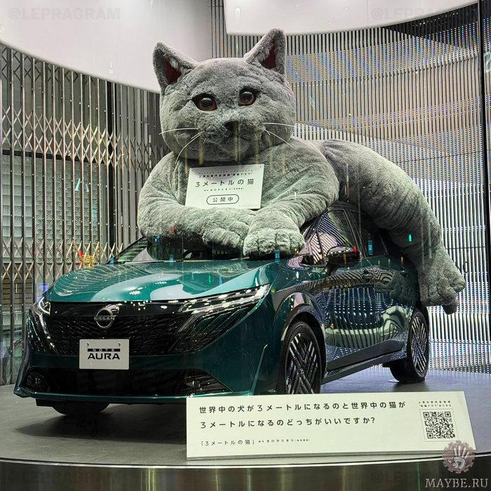 ��������� �� ����������!