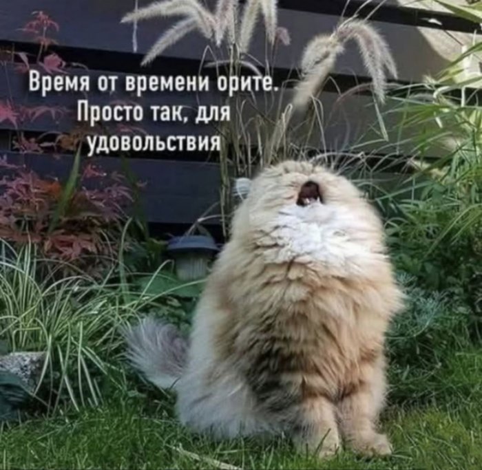 ��������� �� ����������!