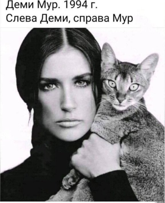 ��������� �� ����������!