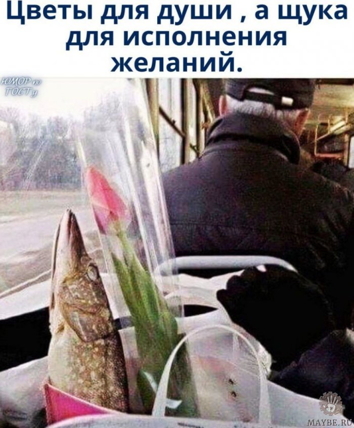 Голосуйте за прикольчик!