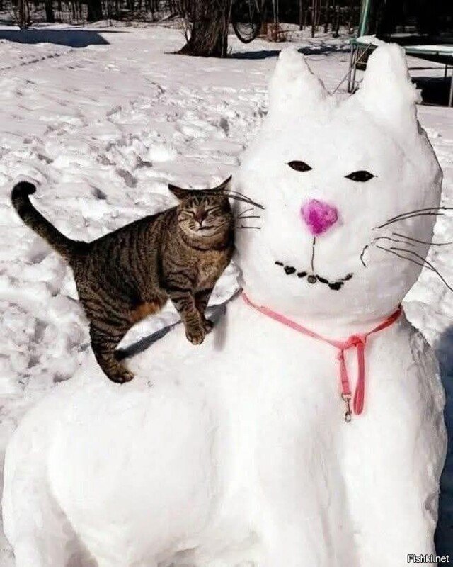 ��������� �� ����������!