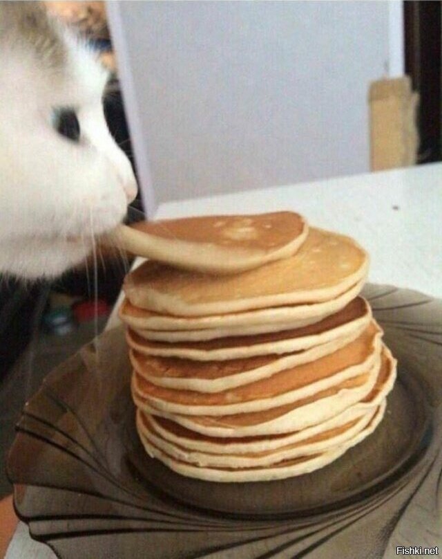 ��������� �� ����������!