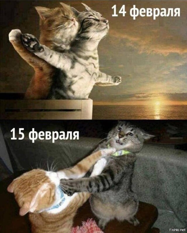 ��������� �� ����������!