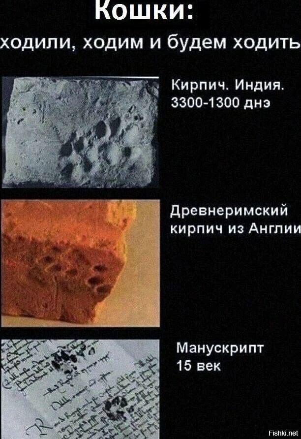 Голосуйте за прикольчик!